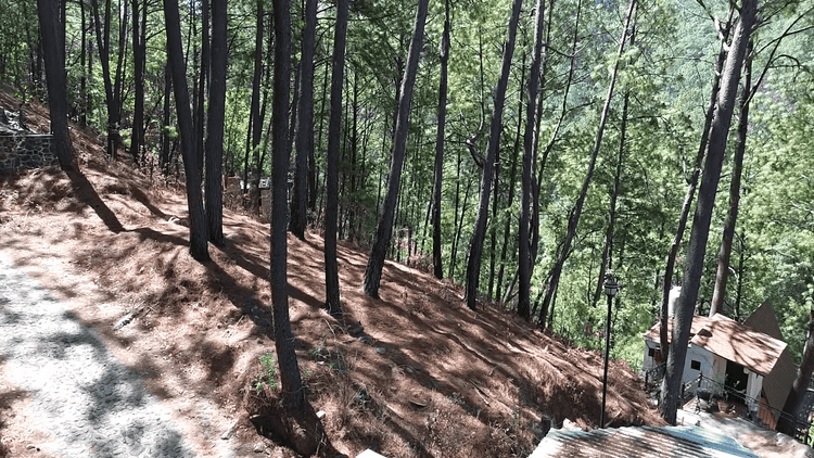 terreno en venta loma blanca mazamitla mazamitla jalisco pABlUD1