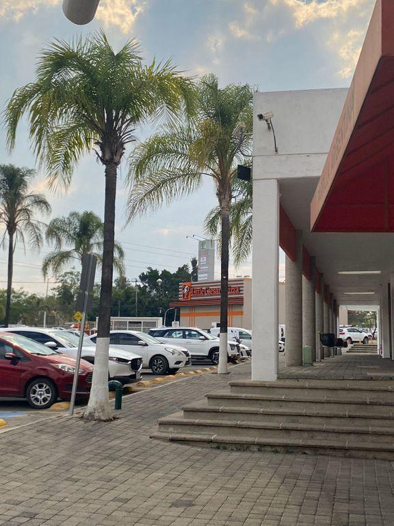 Foto de la galeria de imagenes