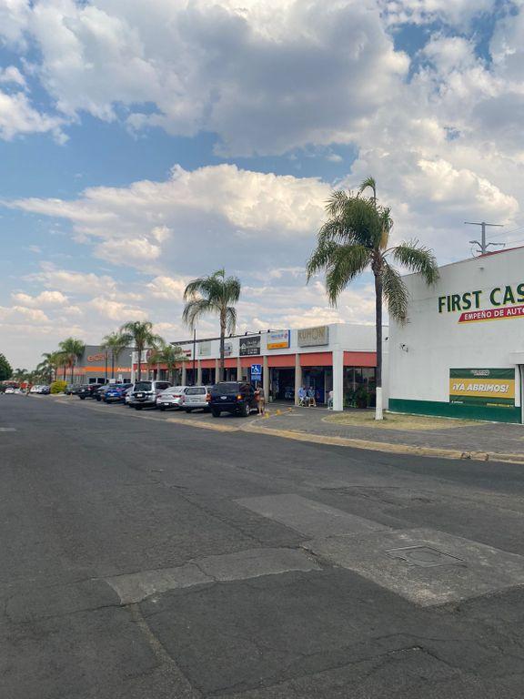 Foto de la galeria de imagenes